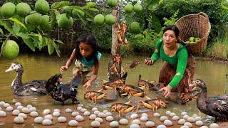 Pick a lot duck egg and cricked in flood forest- Mother cooking egg spicy and cricked for delicious