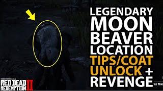 *NEW Legendary Moon Beaver Location Tips/Coat Unlock + Revenge in Red Dead Online