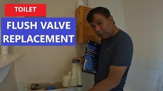 Flush Valve Replacement