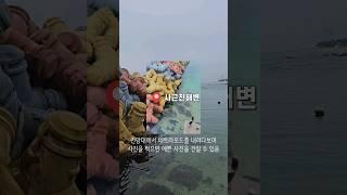 뚜벅이의 당일치기 강릉 여행 | 맛집, 카페, 포토 스팟