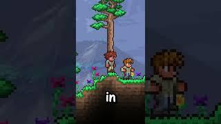 TWO SWORD SHRINES IN THE SAME AREA IN TERRARIA 1.4.4.9!! 