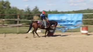 Albert Janik Spokojny horse shugerleana AQH