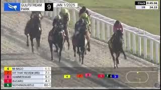 The 2025 Dania Beach Stakes