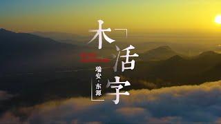 非遗技艺 | 快时代的“慢动作”，穿越800年时光——瑞安东源“木活字”