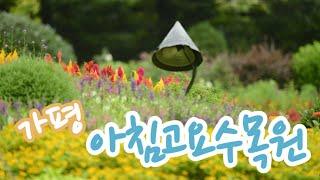 경기도 가평군 아침고요수목원 산책|최고의 야생화천국|The Garden of Morning Calm