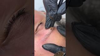 microblading eyebrows learning