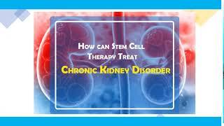 Stem Cell Treatment for Kidney Disorder in Delhi, India