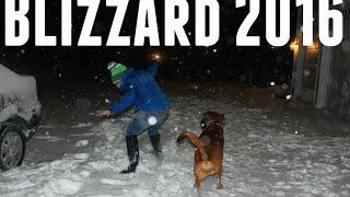 Blizzard 2016