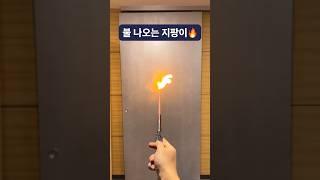 불 나오는 해리포터 지팡이 #shorts