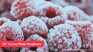 IQF Frozen Raspberry Fruit -- Xiamen Sharp Dragon