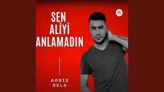 Sen Aliyi Anlamadın