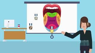 Brainwaves Lesson 5: Taste