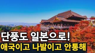 일본 단풍객 폭주 | 국내 관광지 끝도없이 추락한다