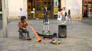 Techno didgeridoo in Perth