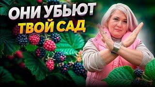 Ландшафтная мастерская ЭТИ 10 РАСТЕНИЙ СДЕЛАЮТ ИЗ ТВОЕГО САДА АД