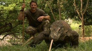 Largest Lizard on Earth | The Komodo Dragon | Deadly 60 | Indonesia | Series 3 | BBC