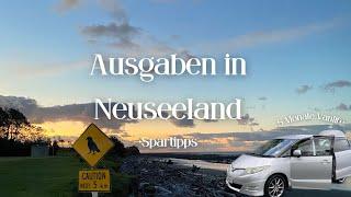 Van Life in Neuseeland: Alle Kosten im Überblick + Tipps zum Sparen beim Reisen