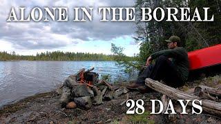 ALONE IN THE BOREAL - 28 DAYS     A month long solo canoe trip in Wabakimi (Part 1)