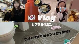 daily vlog | 하수구 역류로 집 잠길 뻔 / 남양주 한식 맛집