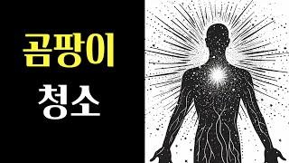 당신의 몸 속 곰팡이 제거 인코딩 음악으로 시작하세요