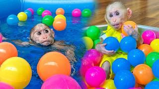Monkey Lala is excited to swim with the balls in the new pool!