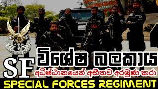 Sl Army Sf || Sri Lanka Army Special Forces || Sri Lanka Army Special Forces Regiment || SF Regiment