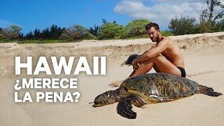 THE BEST AND THE WORST OF HAWAII | enriquealex