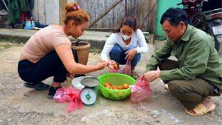 Harvest tomatoes and duck eggs to sell. Preparing to buy 100 more chickens to raise - Peaceful life