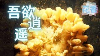 《吾欲逍遙 》=== ️創意寫作 | 抒情散文 | 經典作品 | 情感日誌 | 人生感悟 | 詩詞閱讀 | 經典散文 | 好文分享 |