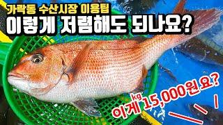 활어회 도매로 구매하는 팁! 가락동 수산시장 편