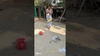 বি"ড়া"ল বাবু ভী"ষ"ণ চা"লা"ক #short #shortvideo #funny