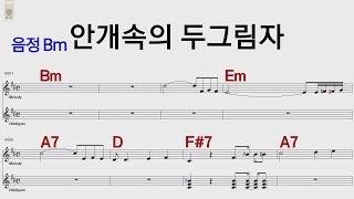 안개속의 두그림자 함중아 Bm /통기타 카포 악보영상