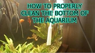 In How to clean the bottom of the aquarium aquariumist