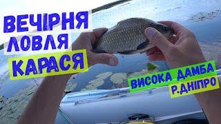 вечірня ловля карася#вудочка #карась #fishing