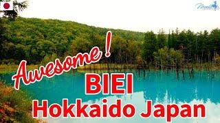 BIEI HOKKAIDO JAPAN AUTUMN 2024 #4k #walkthrough @ManilaShopper