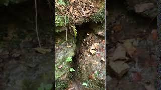 8/31/19 Machine Falls