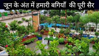 Complete Garden Tour of Hamari Bagiya || Terrace Garden Tour || Garden Decoration Ideas