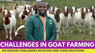 Challenges Involved In Goat Farming and Their Solutions