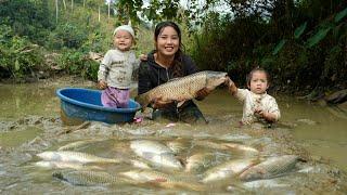 Work with your children to harvest giant fish ponds and sell them at the market