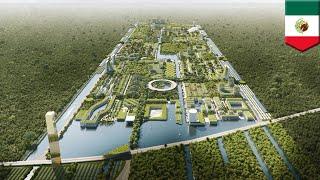 Innovative cities: Smart Forest city planned for Mexico's Cancun - TomoNews