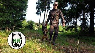 Jagd auf Rot-und Rehwild | Familienjagd  - Jagdkrone