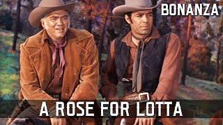 Bonanza - A Rose for Lotta | Episode 01 | Western Series | FULL EPISODES | English