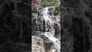 #Darjeeling waterfall