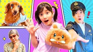 あたらしい家族のわんちゃんがやってきた！みのちゃんはペットのお世話をしたい　わんことおうち