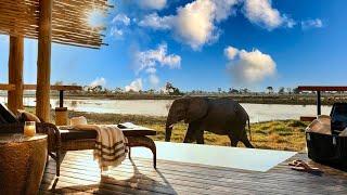 Luxury in Africa | Eagle Island Lodge, a Belmond Safari (full tour in 4K)