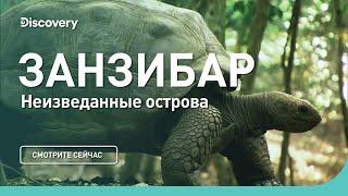 Занзибар | Неизведанные острова | Discovery Channel