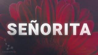 Shawn Mendes, Camila Cabello – Señorita (Lyrics)