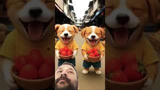  #cute #pets #funny #cutedog #hardworkpaysoff #financialfreedom #kindnessmatters #business