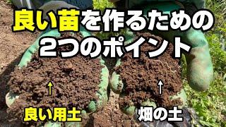 【自然農法】誰でもできる！？良い苗をつくるための2つのポイント