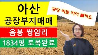 아산공장부지,지목이 공장용지, 공장용지 1834평,계획관리지역,음봉쌍암리공장부지